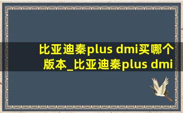 比亚迪秦plus dmi买哪个版本_比亚迪秦plus dmi买哪个版本好